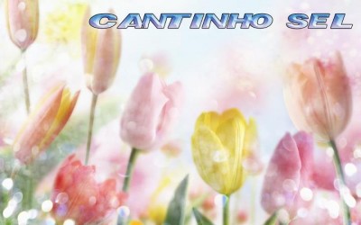 Loja de CantinhoSel